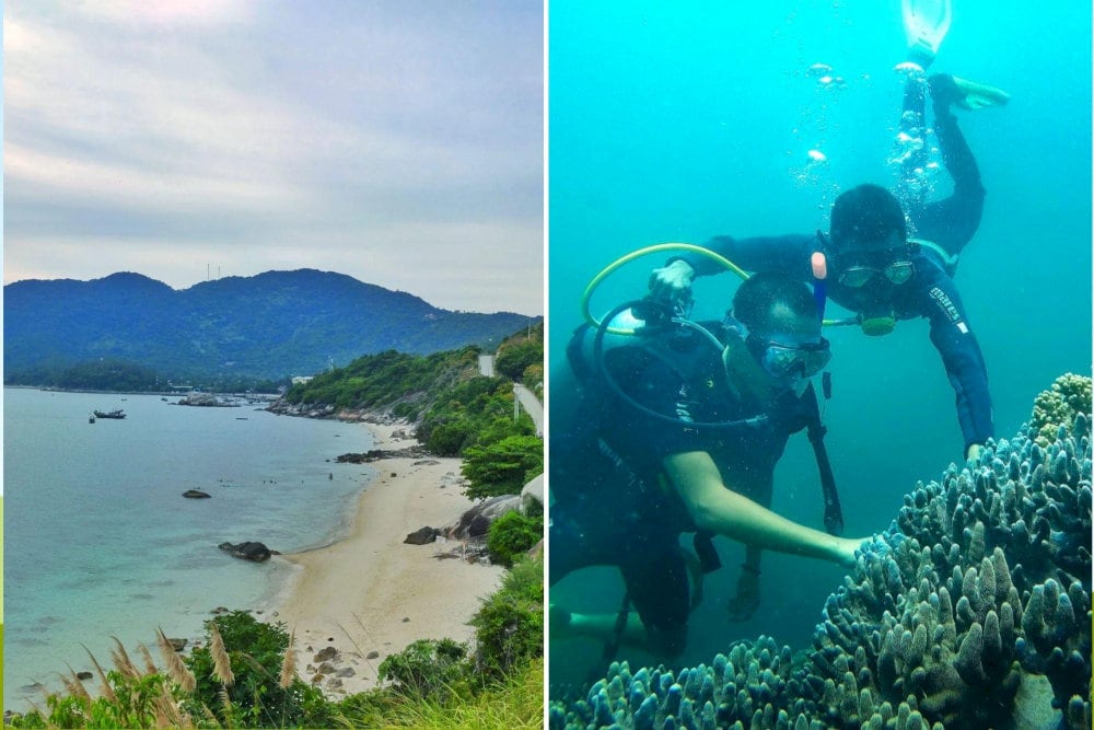 Bai Xep Beach stands out with its unique coral ecosystem and privacy, making it a paradise for underwater explorers